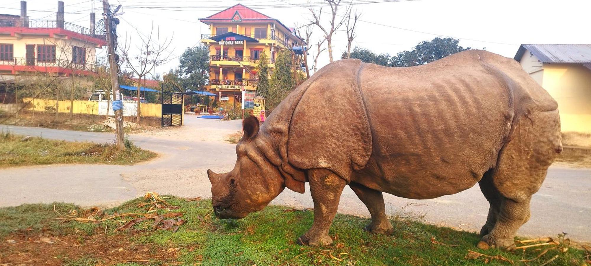 Hotel National Park Sauraha- Homely Stay And Peaceful Location With Jungle Safari Arrangements Exterior foto