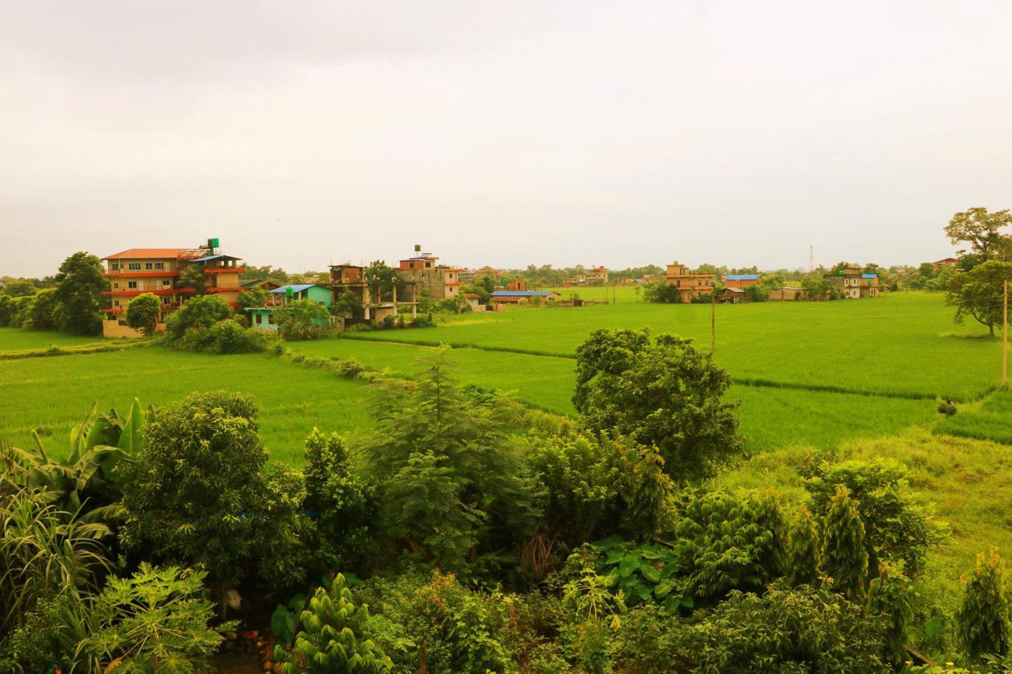 Hotel National Park Sauraha- Homely Stay And Peaceful Location With Jungle Safari Arrangements Exterior foto